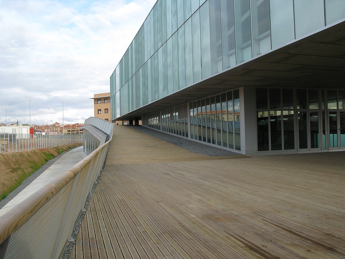 INSTITUTO DE NEUROCIENCIAS DE CASTILLA Y LE�N