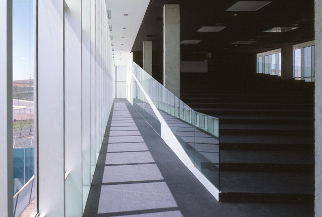 INSTITUTO DE NEUROCIENCIAS DE CASTILLA Y LE�N