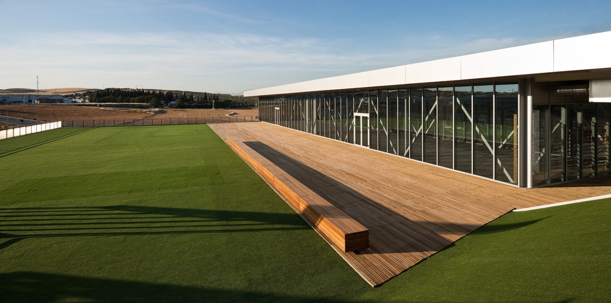 POLIDEPORTIVO UNIVERSITARIO LINARES. JA�N