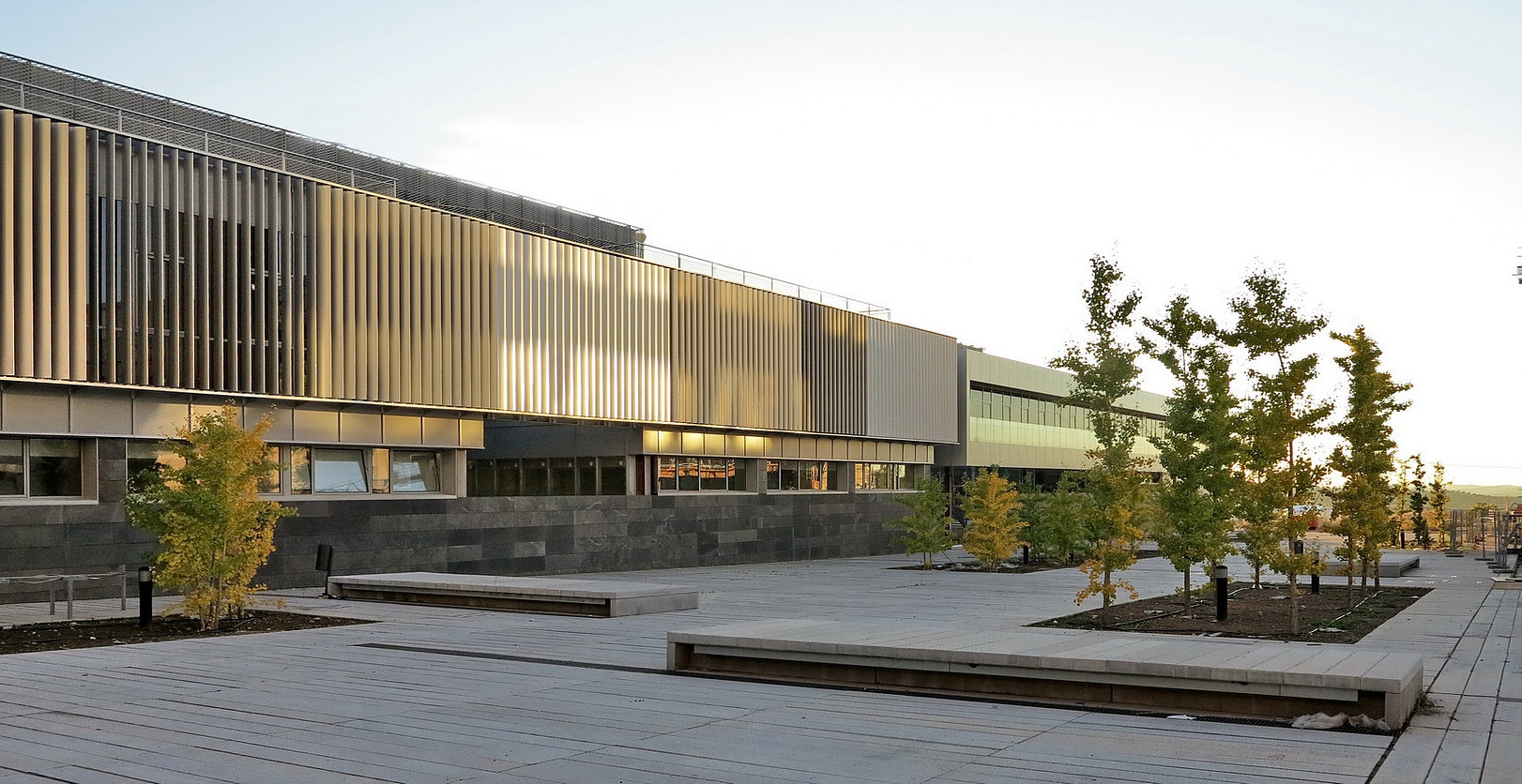 CAMPUS CIENT�FICO TECNOL�GICO LINARES