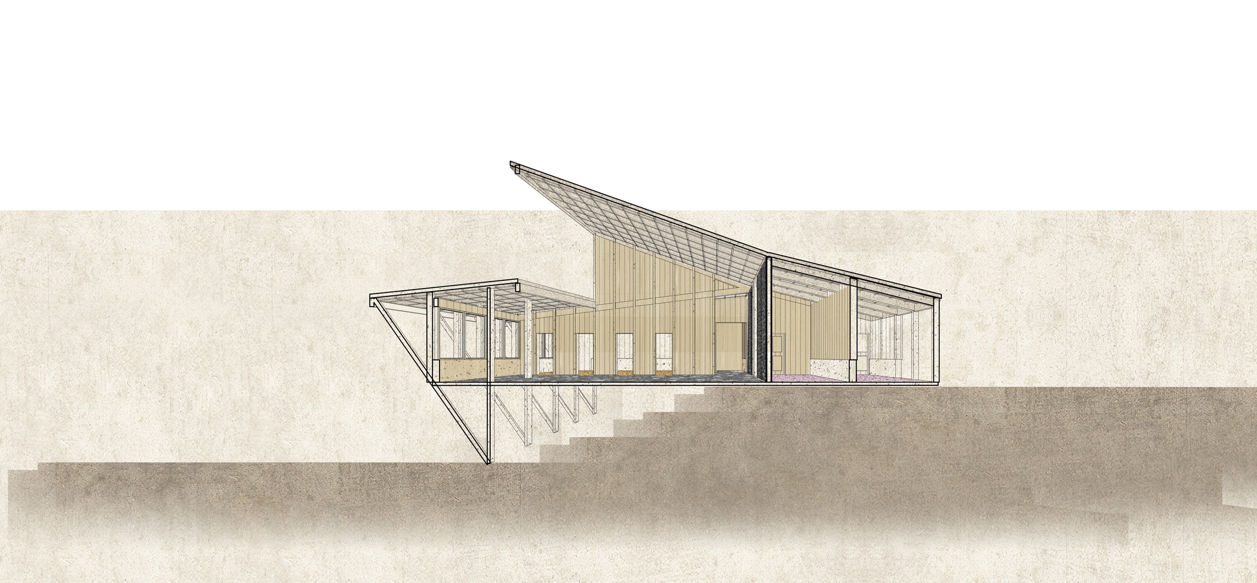 REPOSICI�N DE ESCUELAS RURALES: MOLULCO